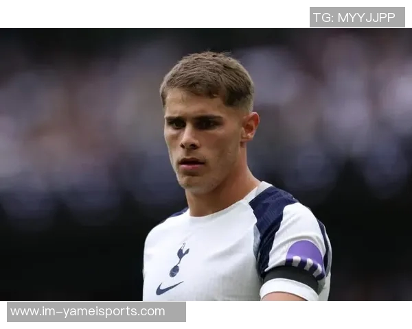 热刺计划与范德芬洽谈新合同期待提升球员薪资待遇